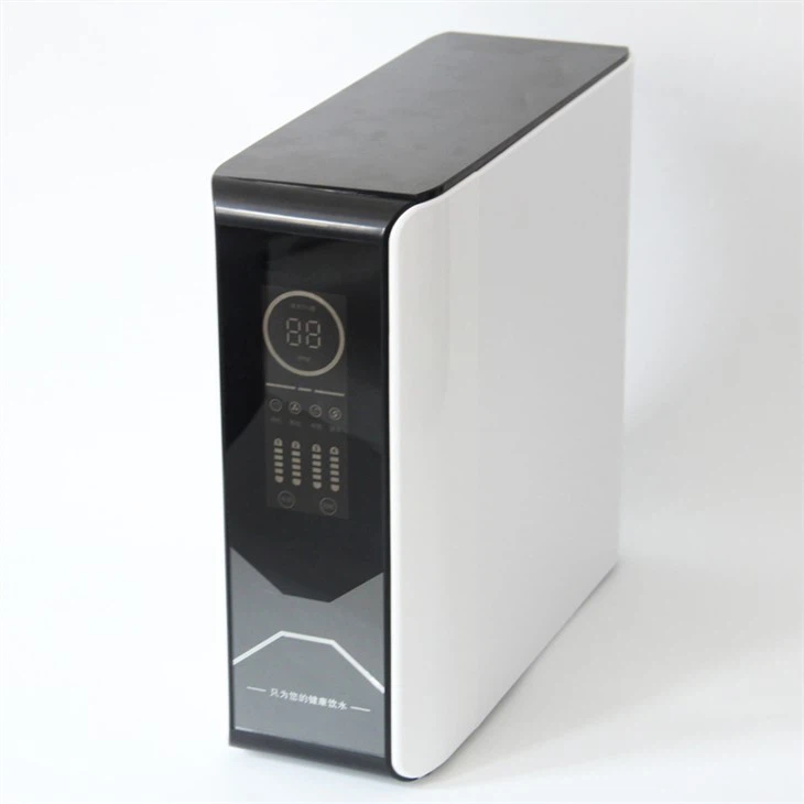 100g RO Water Purifier